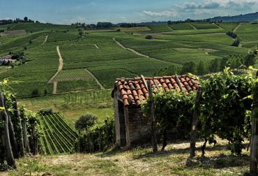 VILLA GIADA, Piemonte