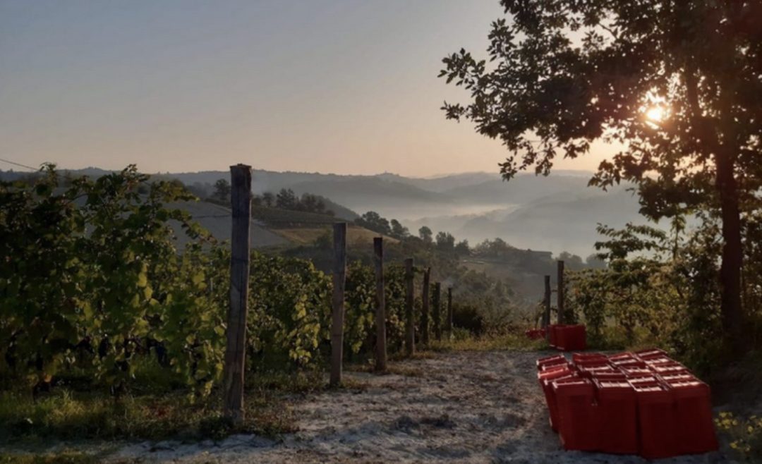 BORGO MARAGLIANO, Piemonte