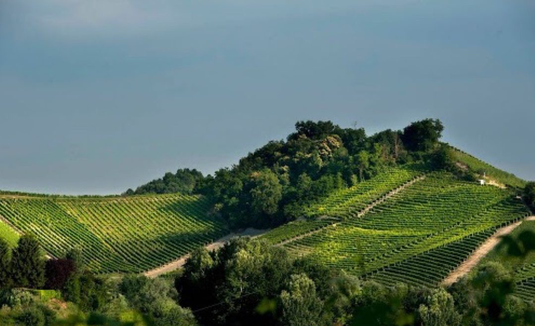 CORNAREA, Piemonte