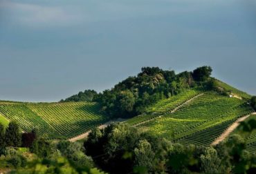 CORNAREA, Piemonte