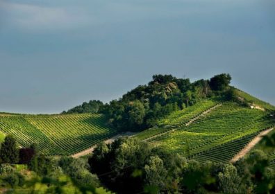 CORNAREA, Piemonte