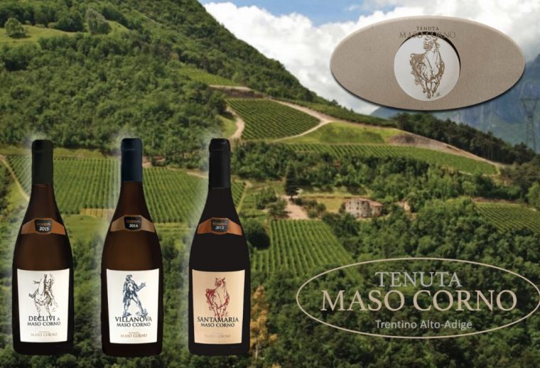 MASO CORNO, Loc. Valbona, Trentino Alto-Adige (Cantina di giugno)