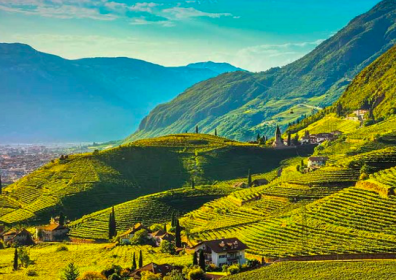 Il vino nel Trentino Alto Adige