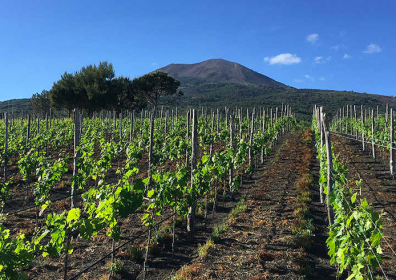 La DOC Vesuvio