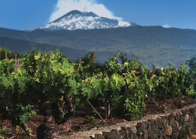 La DOC Etna