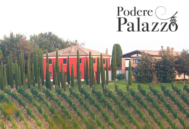 PODERE PALAZZO, Cesena, Emilia Romagna (Cantina di settembre)